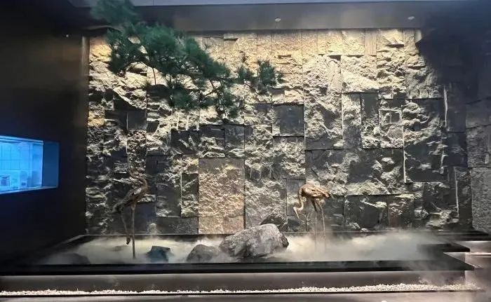 游国际ub8